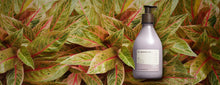 Load image into Gallery viewer, Acai Body Lotion